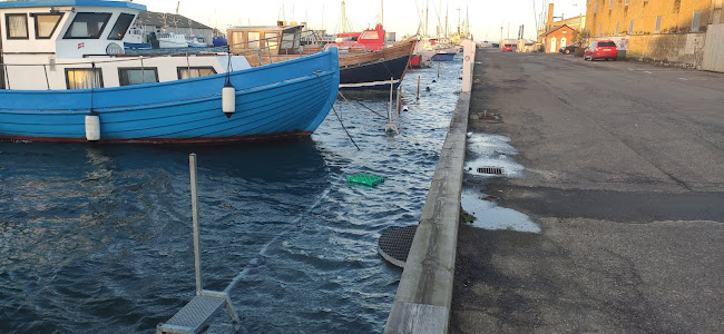 Comentarii opinii despre O V Jørgensen