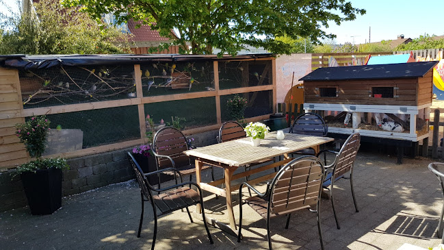 Restaurant SAS-Klubben