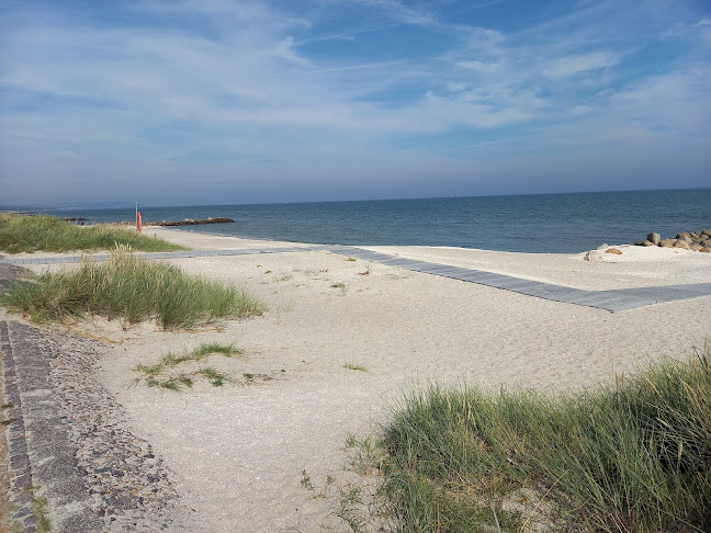 Den Skaldede Kok-Sæby Søbad - Gastronomi og hotelvirksomhed
