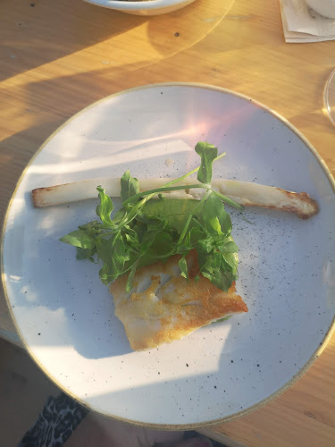 Comentarii opinii despre Gorilla