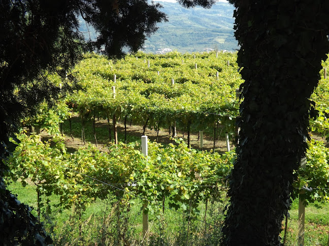 Opinii despre Lukket în Valby - Gastronomi og hotelvirksomhed