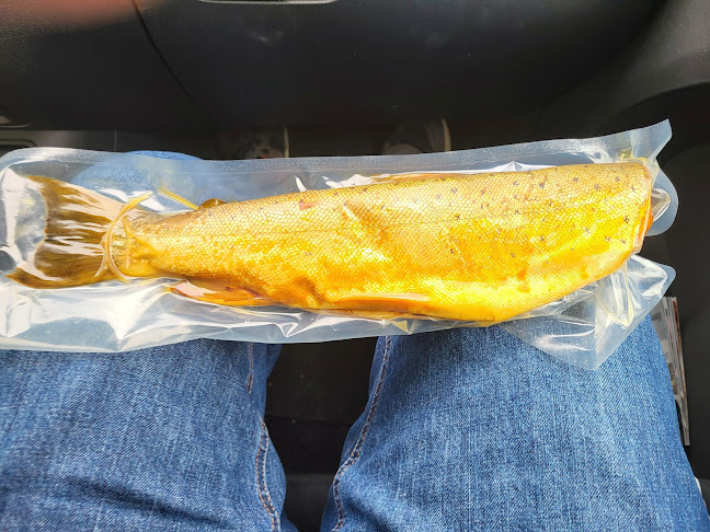 Kalvø Fisk - Rødekro