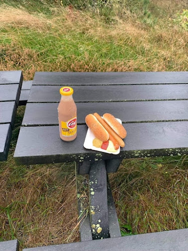 Comentarii opinii despre KFUM's Soldaterhjem, Borris