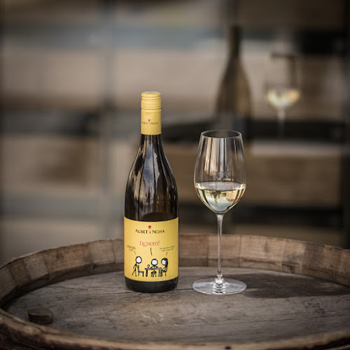 Comentarii opinii despre Nærvær