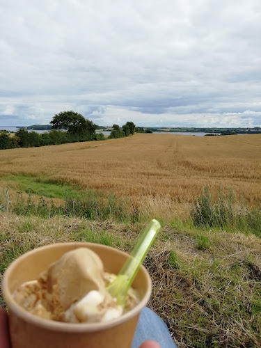 Comentarii opinii despre Frydendal Ismejeri - Sønderjysk Bondegårdsis