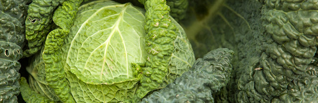 Opinii despre Aarstiderne în Humlebæk - Gastronomi og hotelvirksomhed