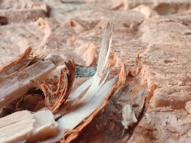 Opinii despre Nyhavn în Lemvig - Gastronomi og hotelvirksomhed