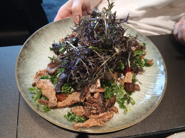 Salling ROOFTOP - Gastronomi og hotelvirksomhed