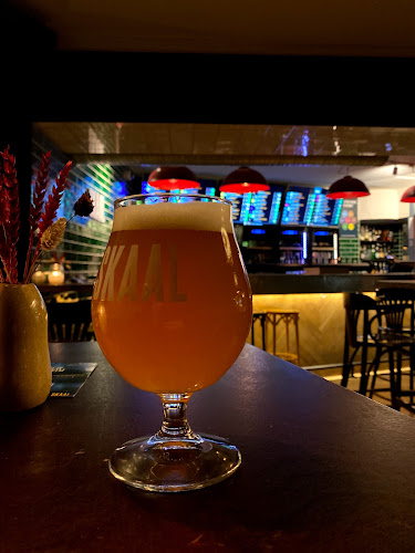 Comentarii opinii despre Skaal