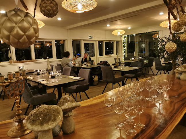 Comentarii opinii despre Kaj