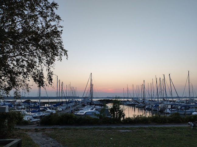 Ny Asien - Kinesisk & Sushi - Gastronomi og hotelvirksomhed