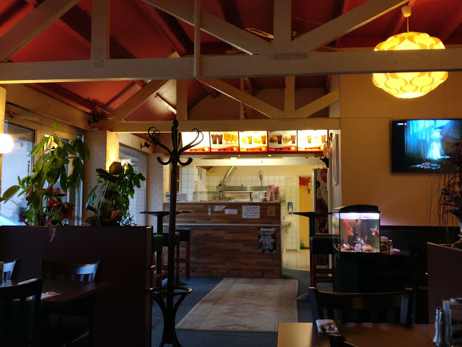 Restaurant Alanya Hobro - Gastronomi og hotelvirksomhed