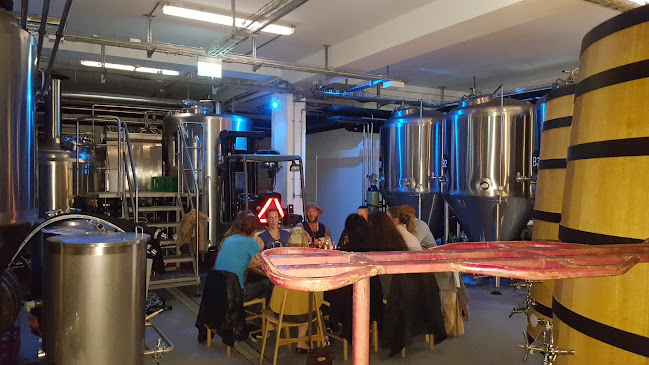 Comentarii opinii despre BRUS