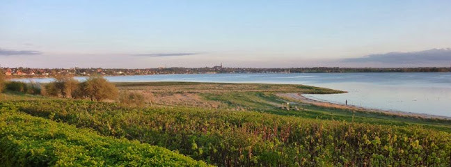 Restaurant Vigen - Gastronomi og hotelvirksomhed