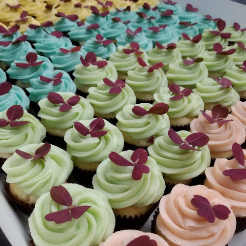 Comentarii opinii despre Mille's Minis