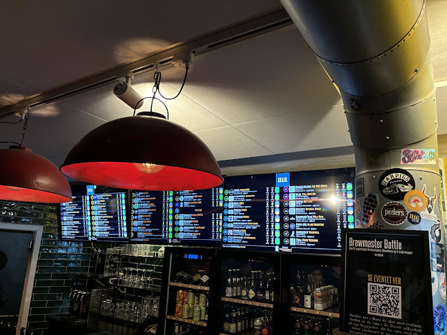 Comentarii opinii despre Skaal