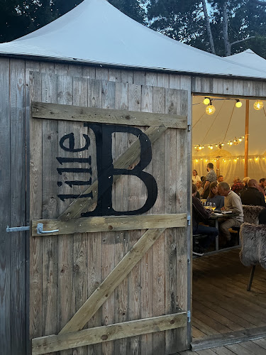 Comentarii opinii despre Restaurant lilleB