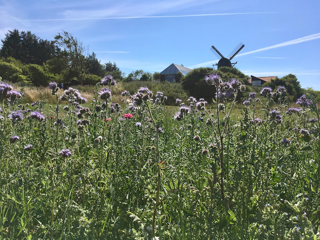 Comentarii opinii despre Keramikcafé Møllehuset