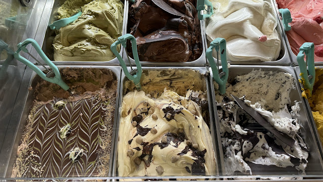 Comentarii opinii despre Rajissimo