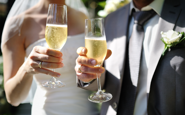 Falkensten Vin - Gastronomi og hotelvirksomhed