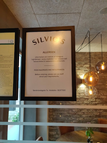 Opinii despre Silvio's Ristorante în Holstebro - Gastronomi og hotelvirksomhed