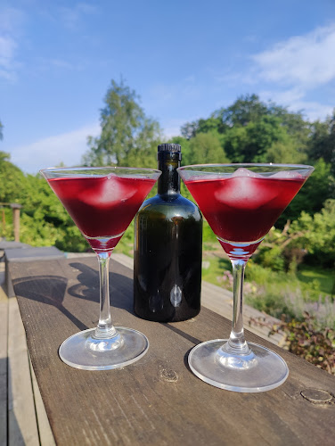 Thorsbrovej 22, 2640 Hedehusene