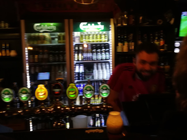 Comentarii opinii despre Den Glade Gris