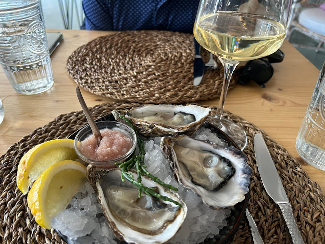 Jellyfish Elsinore - Gastronomi og hotelvirksomhed