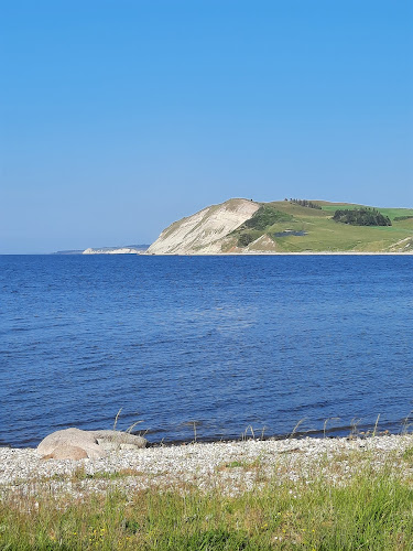 Opinii despre Gullerup Strand Kro în Erslev - Gastronomi og hotelvirksomhed