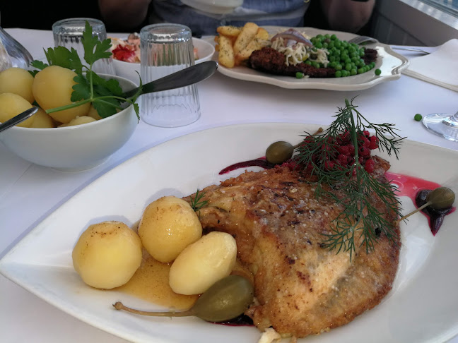 Comentarii opinii despre Restaurant Udsigten