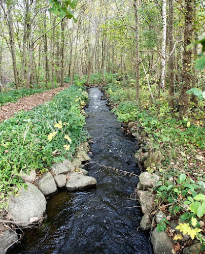 Comentarii opinii despre Strids Mølle