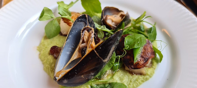 Opinii despre Brasserie Båden în Svendborg - Gastronomi og hotelvirksomhed