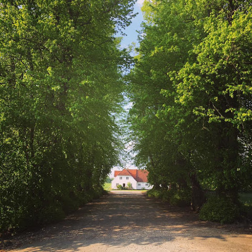 Karlsbjergvej 39, 5672 Broby