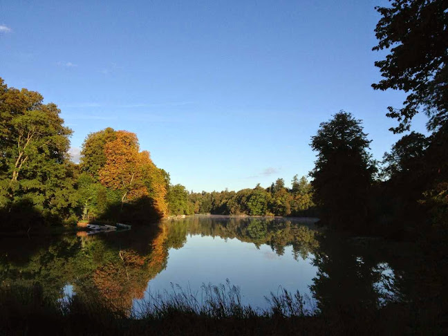 Langesøvej 139, 5462 Morud