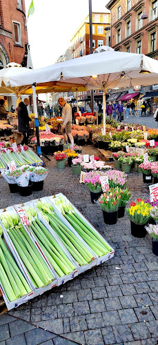 Damgaard Vine - Gastronomi og hotelvirksomhed