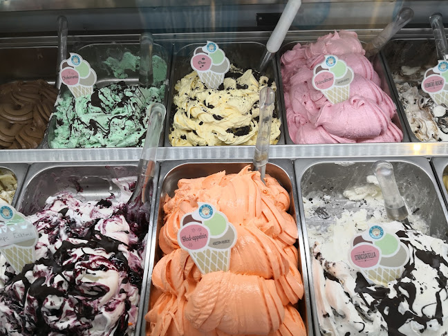 Comentarii opinii despre Manolo Greve