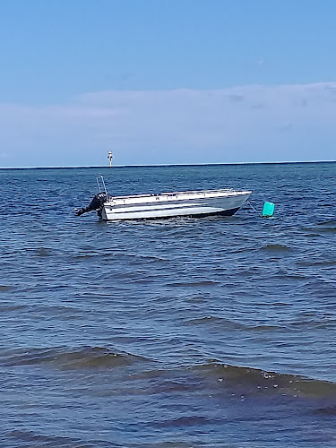 Comentarii opinii despre På Drejet grill og café