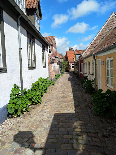 Comentarii opinii despre Strygejernet