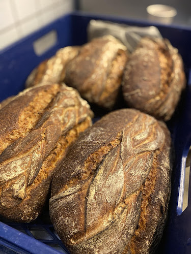 Comentarii opinii despre Restaurant Kongemosen