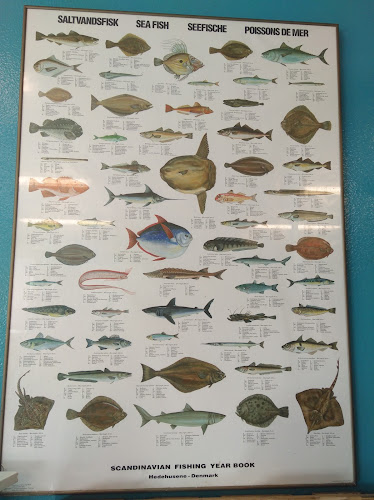 Gaardboes Fiskehandel v/Erik Gaardboe - Hirtshals