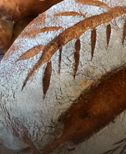 Comentarii opinii despre Mel Vand Salt