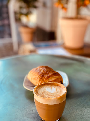 The Nomad & The Bean