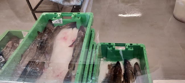 Leons Øfisk - Gastronomi og hotelvirksomhed