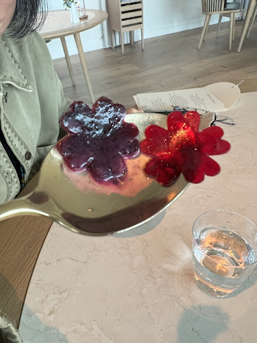 Comentarii opinii despre Geranium