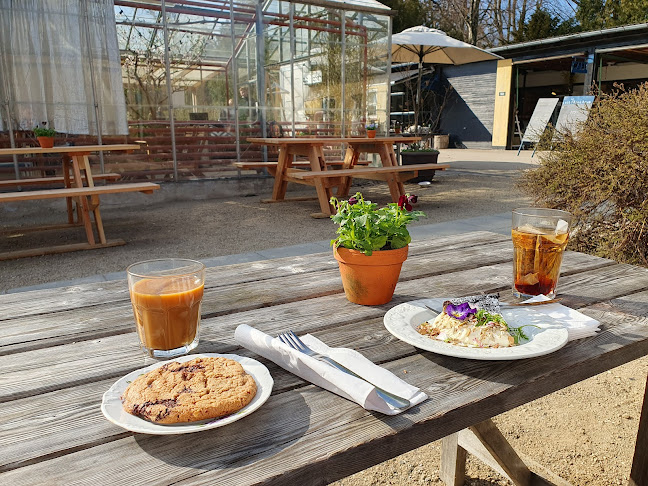 Sct. Hans Have - Roskilde