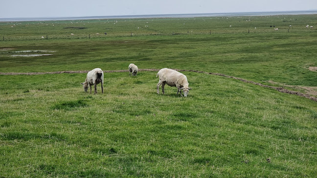 Opinii despre Kammerslusen în Ribe - Gastronomi og hotelvirksomhed