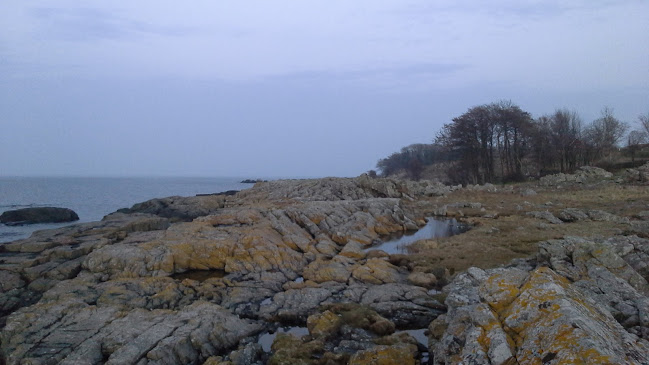 Opinii despre Hos Truberg în Gudhjem - Gastronomi og hotelvirksomhed