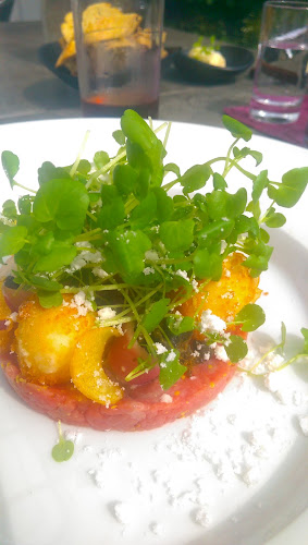 Restaurant Svanelunden - Gastronomi og hotelvirksomhed