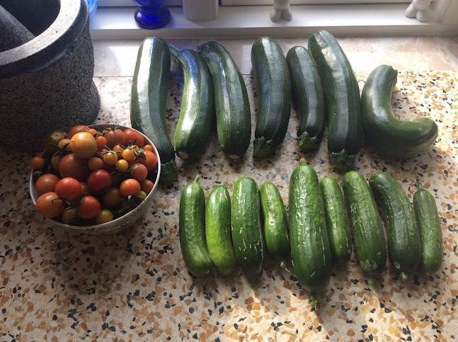 Comentarii opinii despre "Ejendommens" lille vejbod