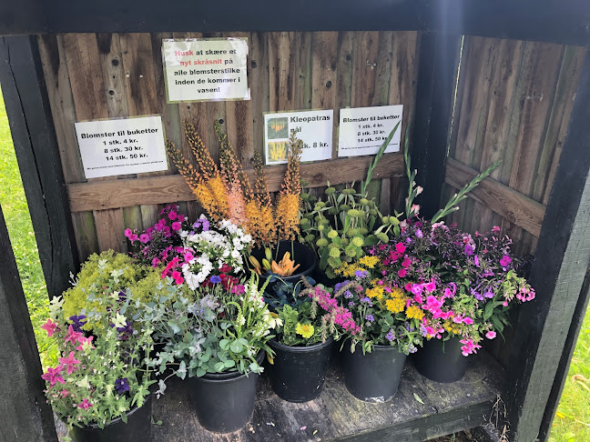 Pluk selv blomster ved Peter Ditlevsen - Tommerup